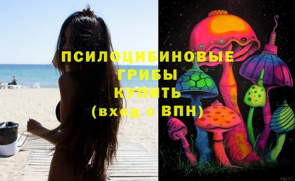 амф Зерноград