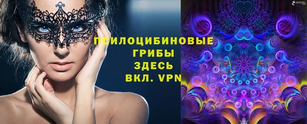 2c-b Зеленокумск