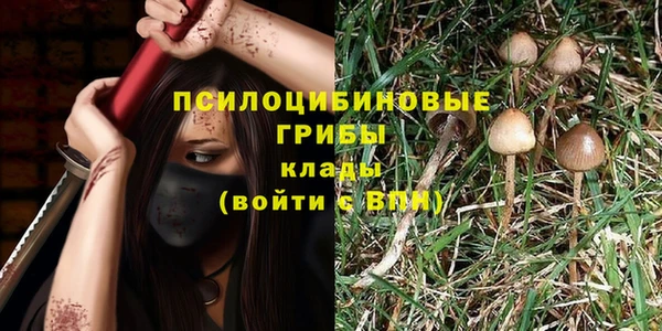 амф Зерноград
