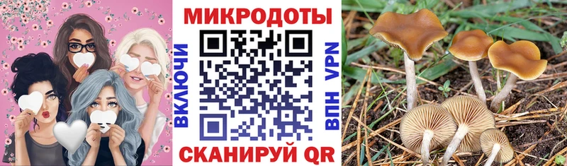 Купить где  Кодинск  Псилоцибиновые грибы мухоморы 